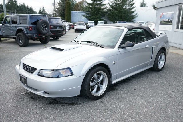 Ford Mustang GT Deluxe Convertible RWD 2004