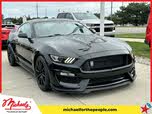Ford Mustang Shelby GT350 R Fastback RWD