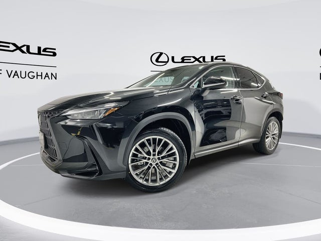 Lexus NX Hybrid 350h AWD 2024