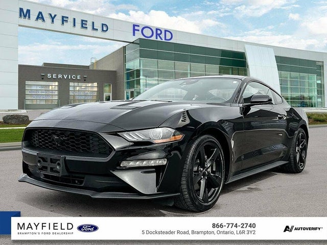 Ford Mustang EcoBoost Fastback RWD 2023