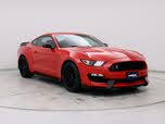 Ford Mustang Shelby GT350 R RWD