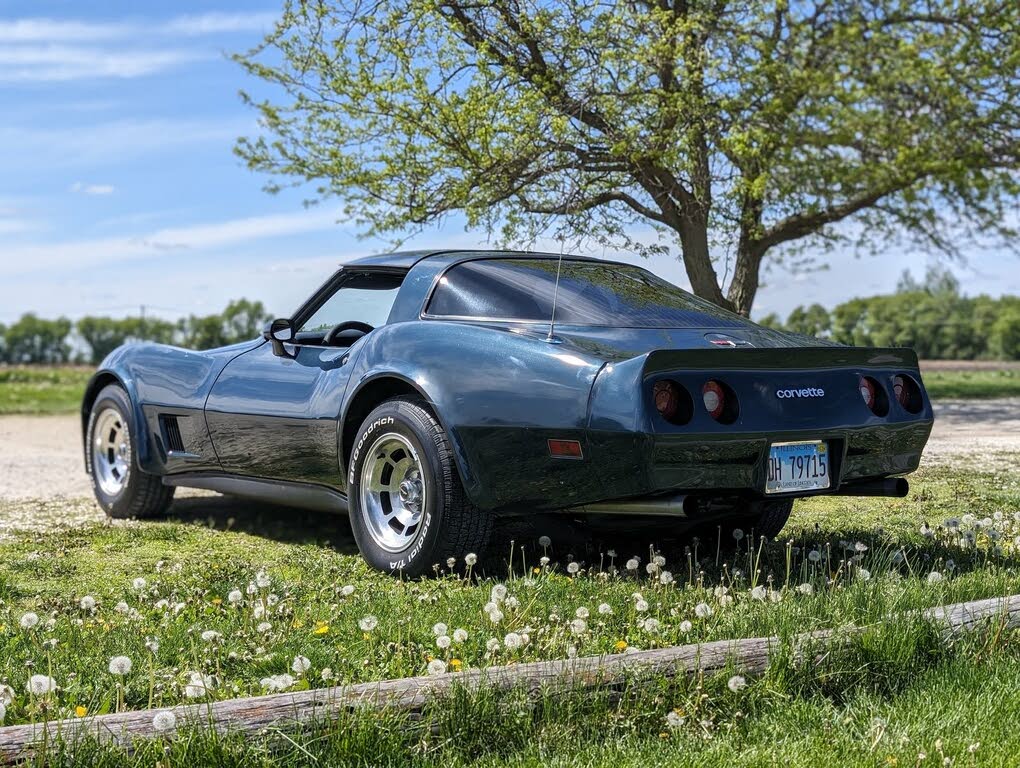 Used 1980 Chevrolet Corvette for Sale in Chicago, IL (with Photos 