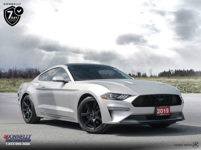 Ford Mustang EcoBoost Coupe RWD 2019