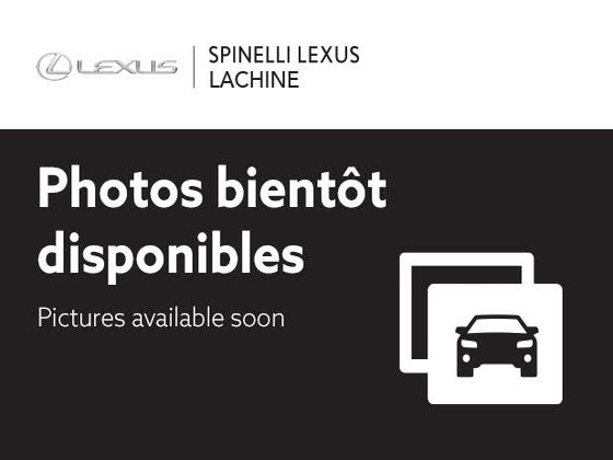 Lexus NX 300 AWD 2020