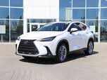 Lexus NX 350 AWD