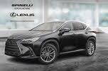 2022 Lexus NX