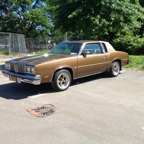 Used 1981 Oldsmobile Cutlass for Sale in Mount Pleasant MI with Photos CarGurus