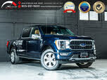 Ford F-150 Platinum SuperCrew 4WD