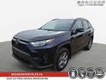 Toyota RAV4 XLE AWD