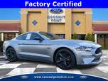 Ford Mustang GT Premium Fastback RWD