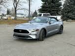 Ford Mustang EcoBoost Convertible RWD