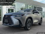 Lexus NX 350 Premium AWD