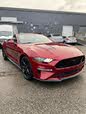 Ford Mustang GT Premium Convertible RWD