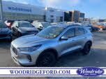 Ford Escape Hybrid Platinum AWD