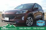 Ford Escape SEL AWD