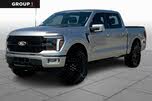 Ford F-150 Platinum SuperCrew 4WD