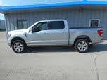 Ford F-150 Platinum SuperCrew 4WD