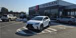 Lexus NX 300 AWD