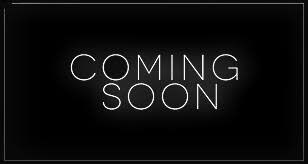 1985 GMC C/K 1500 Series C1500 LB