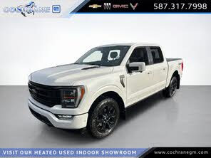 Ford F-150 Platinum SuperCrew 4WD