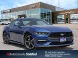 Ford Mustang EcoBoost Premium Fastback RWD