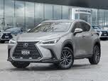 2024 Lexus NX