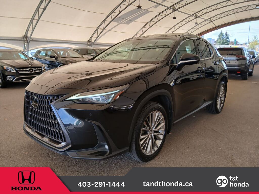 Lexus NX Hybrid 350h AWD 2022