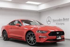 Ford Mustang EcoBoost Fastback RWD