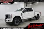 Ford F-250 Super Duty Platinum Crew Cab 4WD