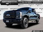 Ford F-250 Super Duty Platinum Crew Cab 4WD