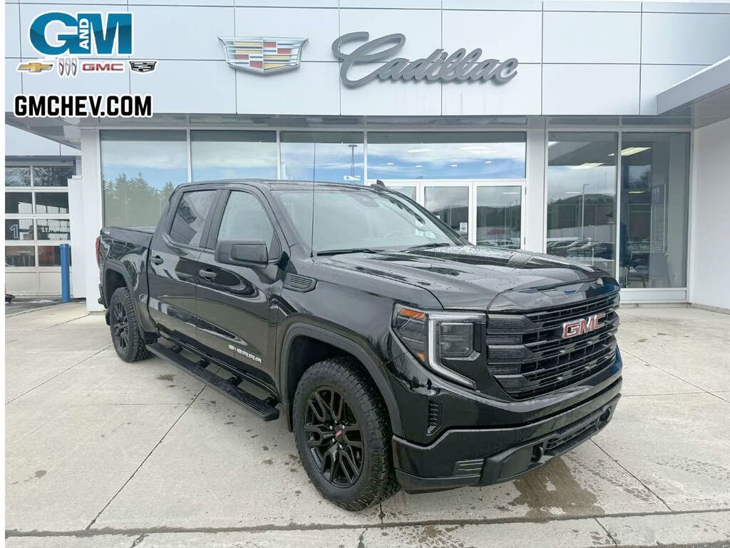 GMC Sierra 1500 Pro Crew Cab 4WD 2023