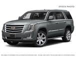 Cadillac Escalade Luxury 4WD