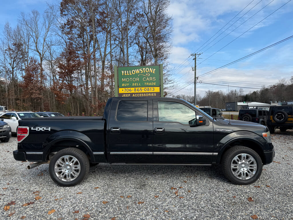 2013 Ford F-150 Platinum SuperCrew 4WD