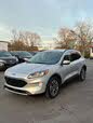 Ford Escape SEL FWD