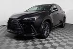 2024 Lexus NX