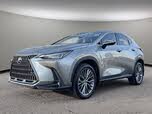 2024 Lexus NX Hybrid