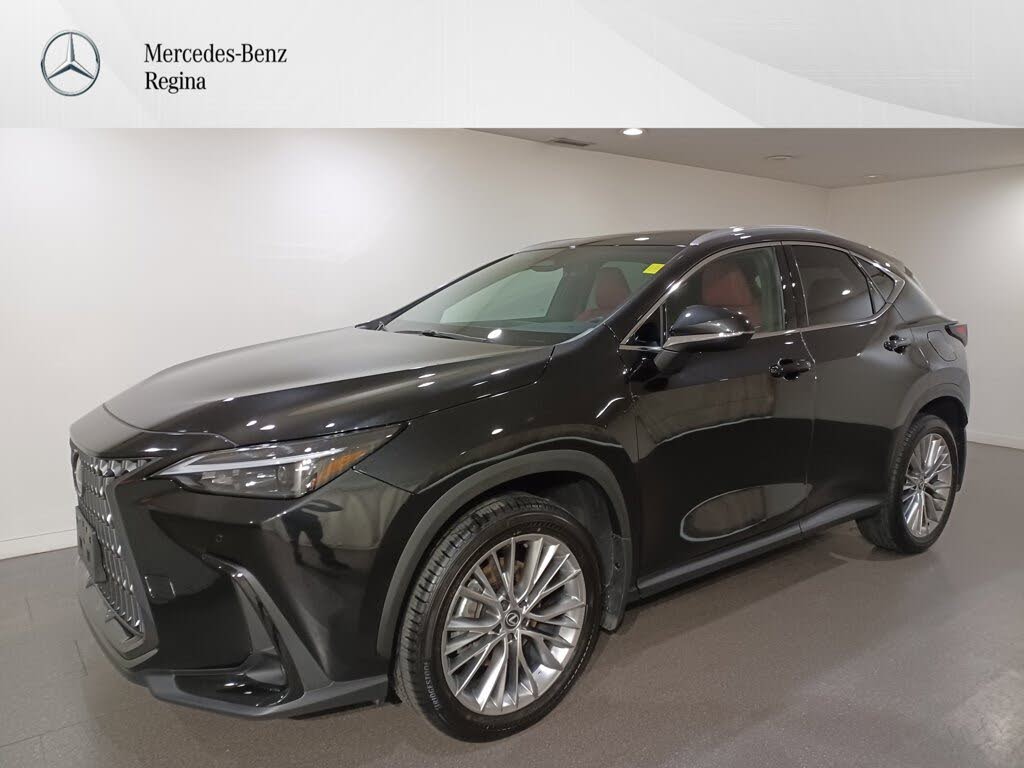 2025 Lexus NX