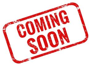 Honda Accord 1.5T EX FWD