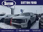 Ford F-150 Platinum SuperCrew 4WD