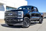 Ford F-250 Super Duty Platinum Crew Cab 4WD