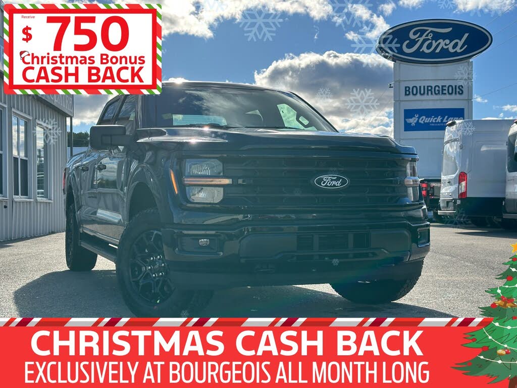 Ford F-150 XLT SuperCrew 4WD 2025