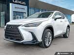 Lexus NX 350 Luxury AWD