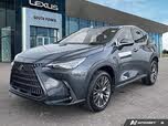 Lexus NX 350 Luxury AWD