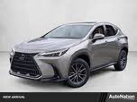 Lexus NX 350 Premium AWD