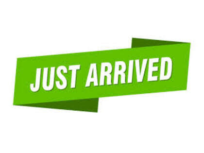 2025 Mercedes-Benz G-Class G 580 4MATIC with EQ Technology