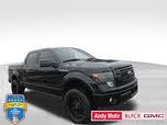 Ford F-150 Platinum SuperCrew 4WD