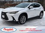 Lexus NX 350 Luxury AWD