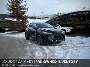2024 Lexus NX