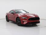 Ford Mustang GT Premium Fastback RWD