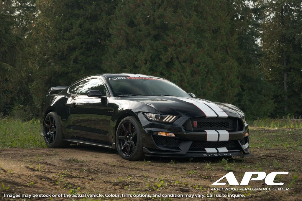 Ford Mustang Shelby GT350 Fastback RWD 2018